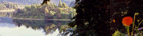 alquilar-depto-bariloche