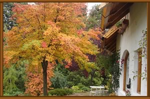 Tea house bed & breakfast Bellevue - Villa Llao Llao Bariloche