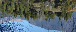 rent-house-bariloche